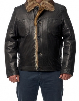 Купить Мужская кожаная куртка из натуральной кожи на меху с воротником, отделка енот в каталоге
