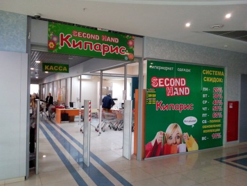 Кипарис
