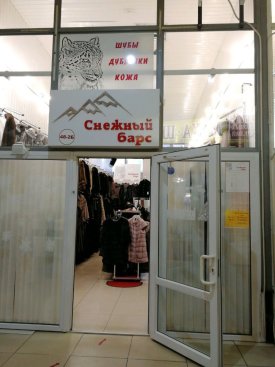 Снежный барс