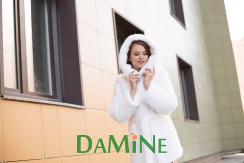 DaMiNe