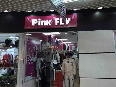 Pink Fly