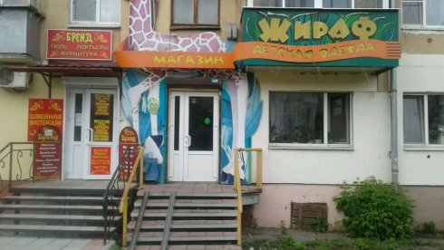 Жираф