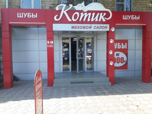 Котик
