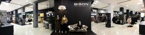 Bison
