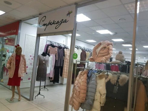 Стрекоза