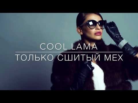 Cool Lama 