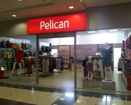 Pelican