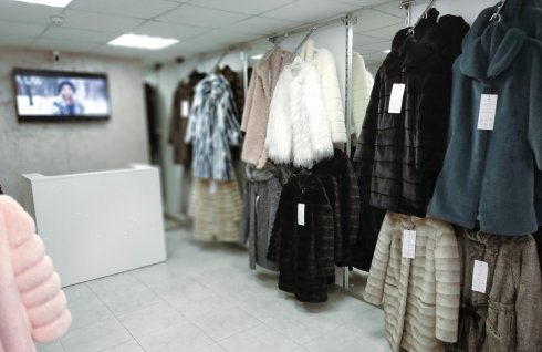 ZQueen Collection Boutique