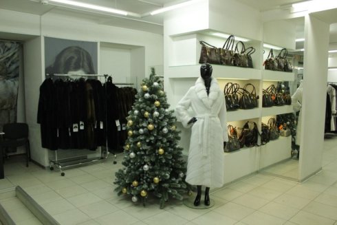  Европейские Меха