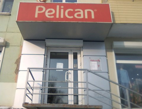 Pelican