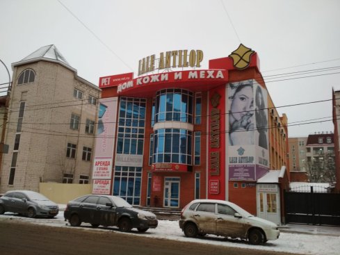 Lale Antilop
