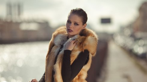 Шиншилла