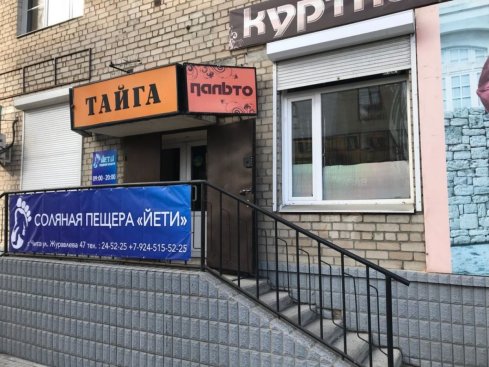 Тайга