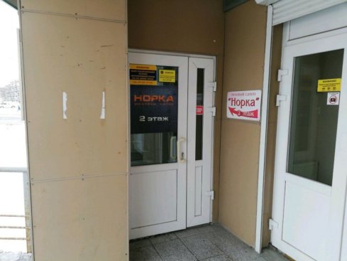 Норка
