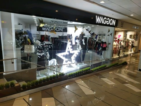 WAGGON