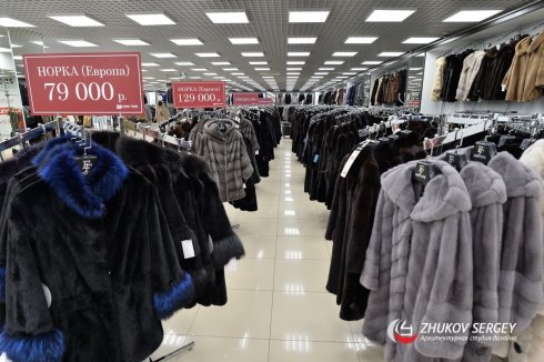 Elena Furs