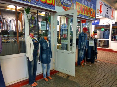 Весёлый кактус