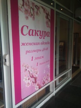 Сакура