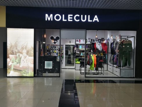 MOLECULA
