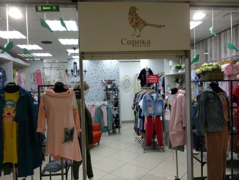 Сорока