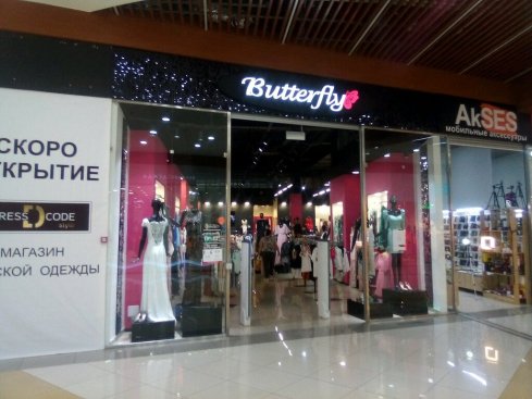 BUTTERFLY