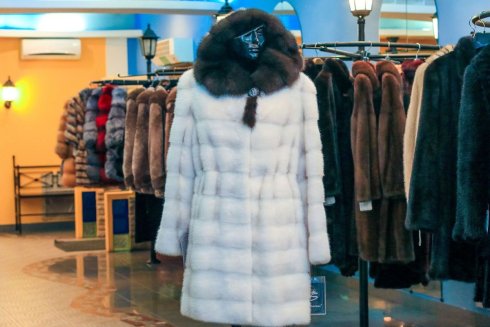 Мир Кожи