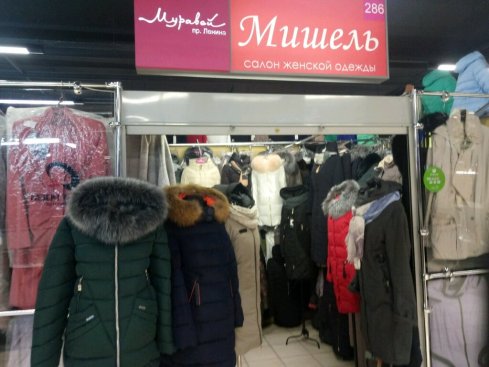 Мишель