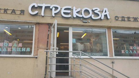 Стрекоза 