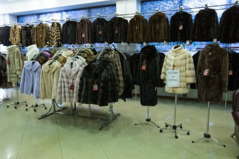Планета меха