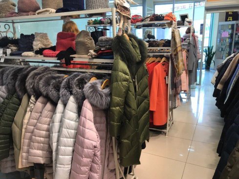 Сеньора