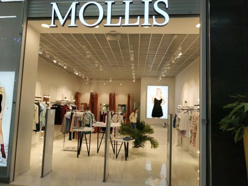 MOLLIS